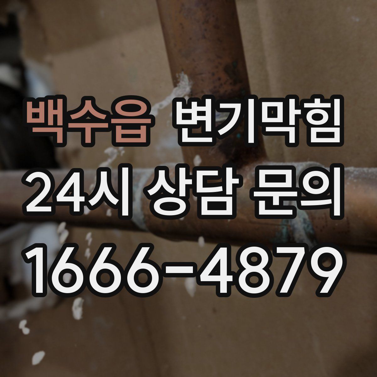 백수읍 변기막힘