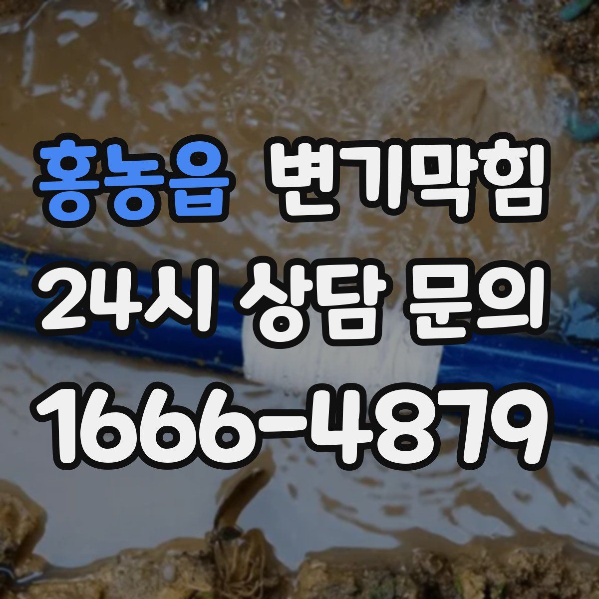 홍농읍 변기막힘