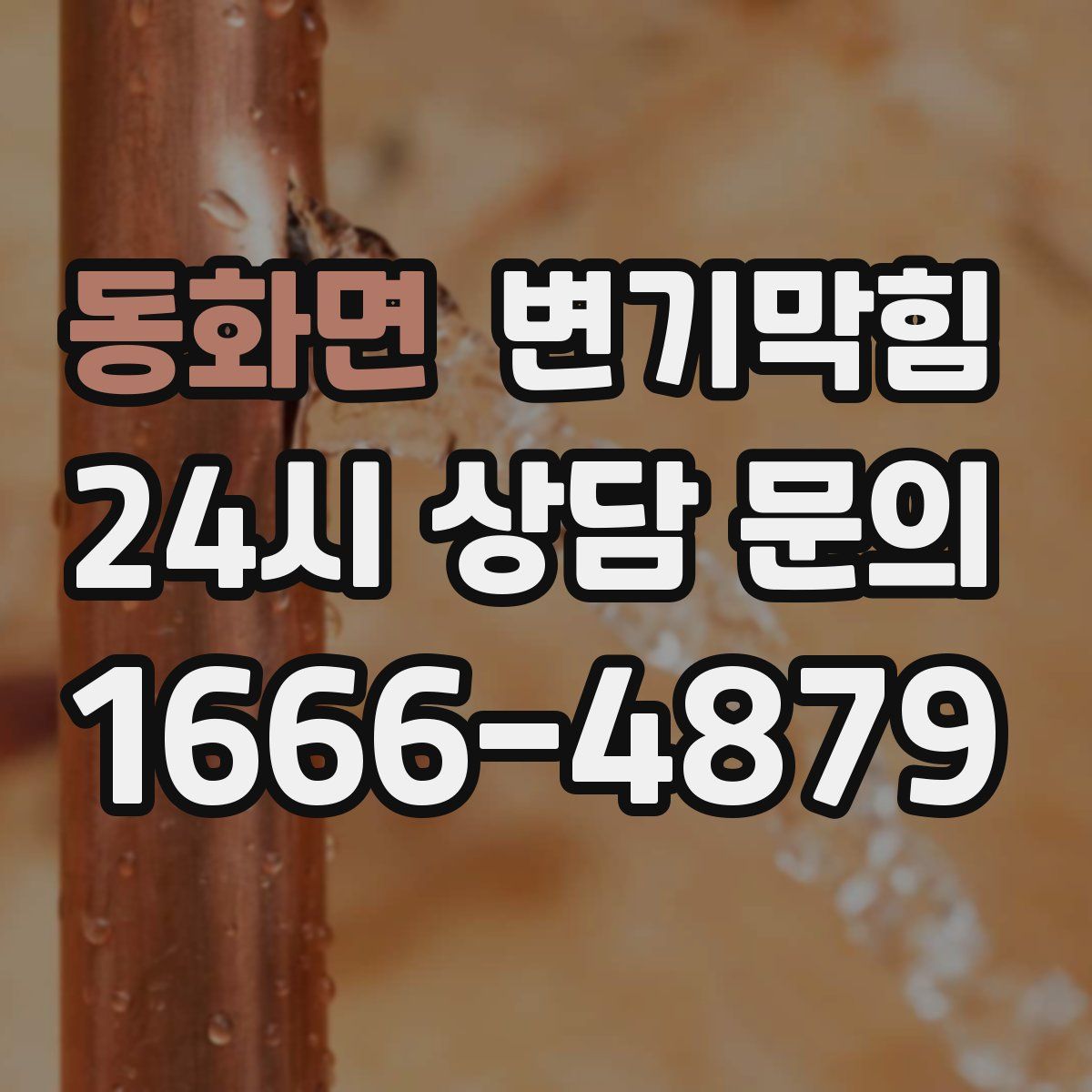 동화면 변기막힘