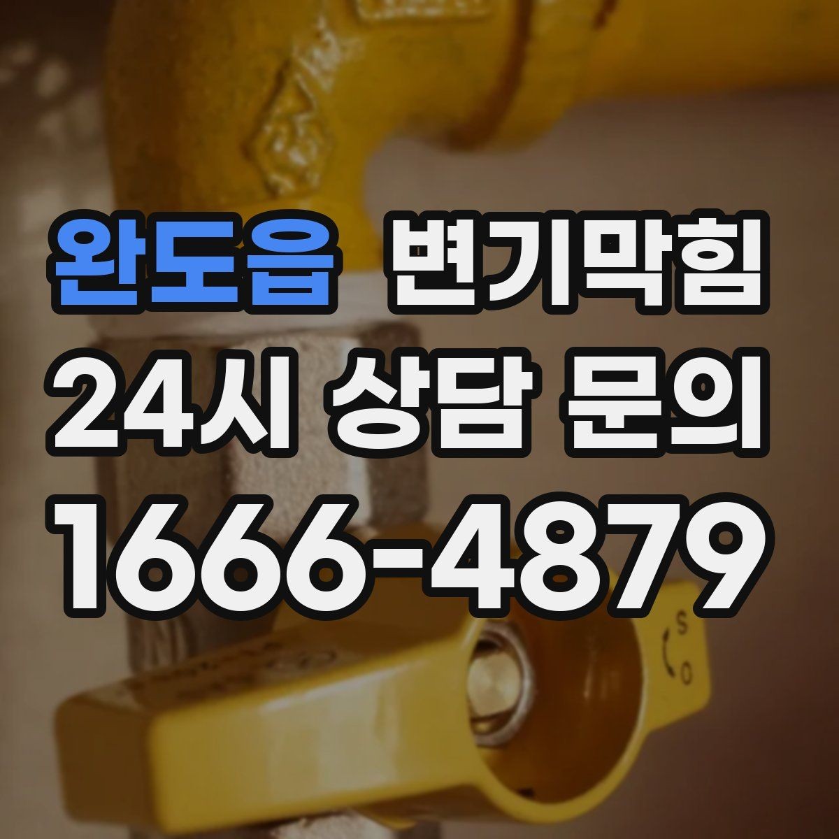 완도읍 변기막힘 사무실 화장실역류 회의 일정 보호