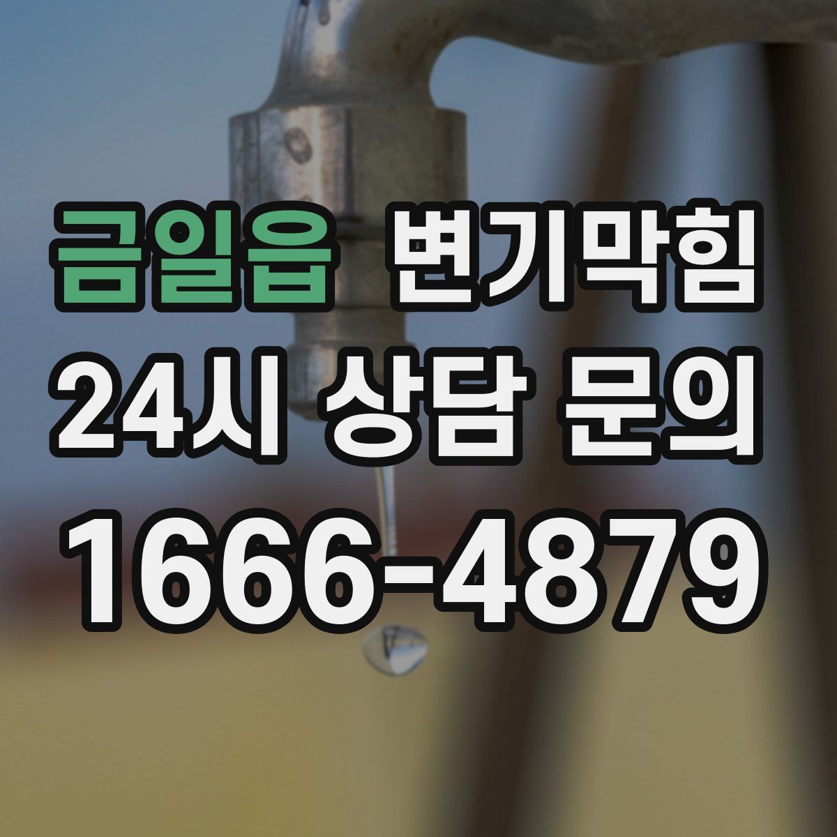 금일읍 변기막힘