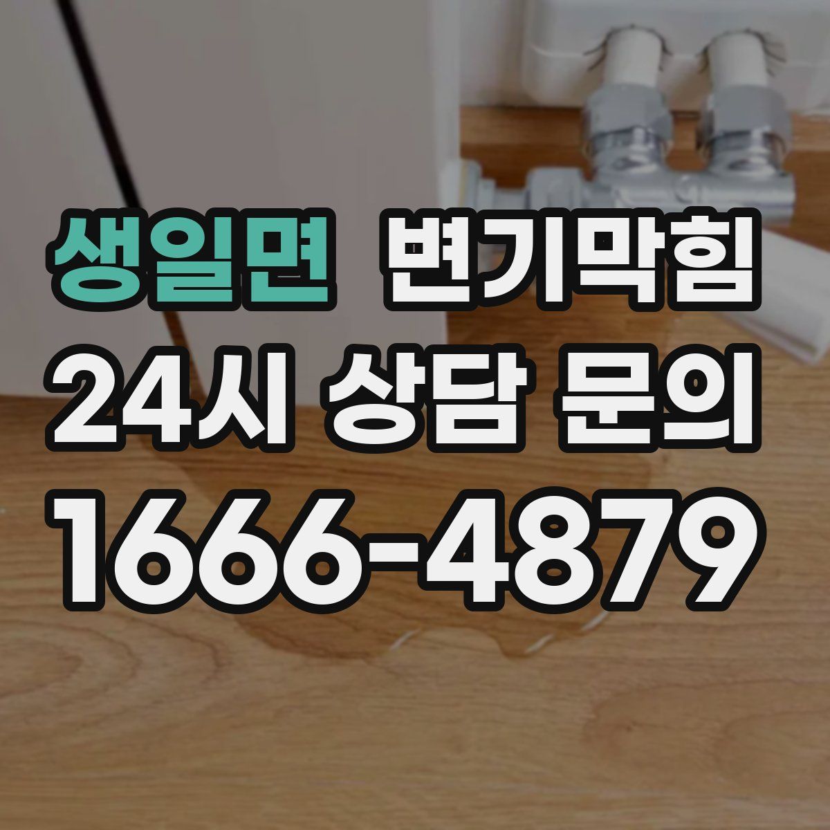 생일면 변기막힘