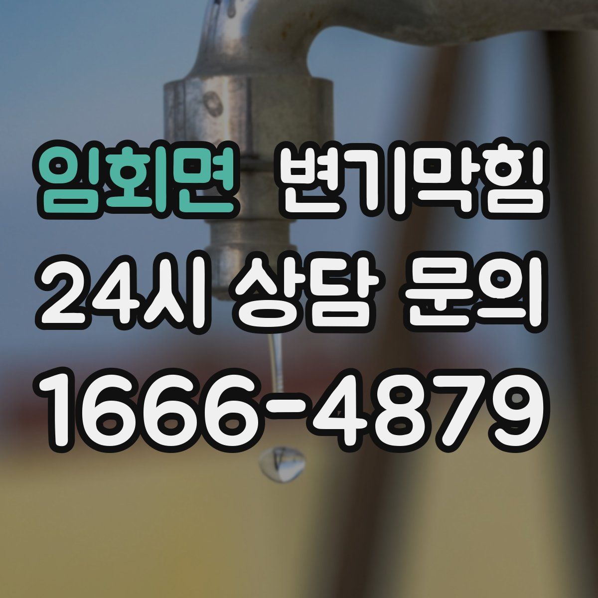 임회면 변기막힘