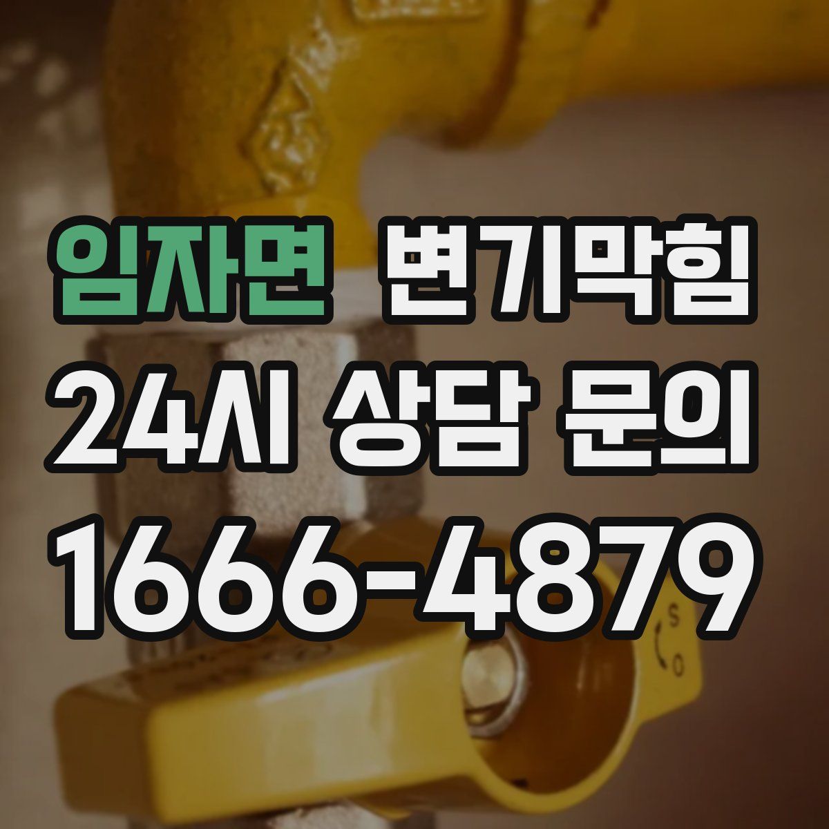 임자면 변기막힘