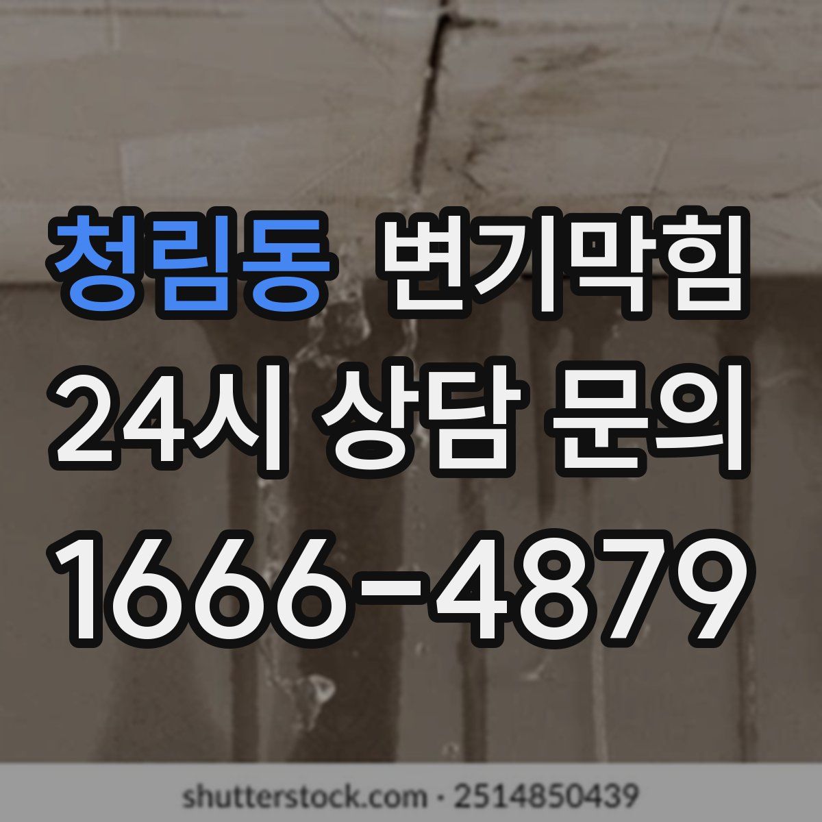 청림동 변기막힘