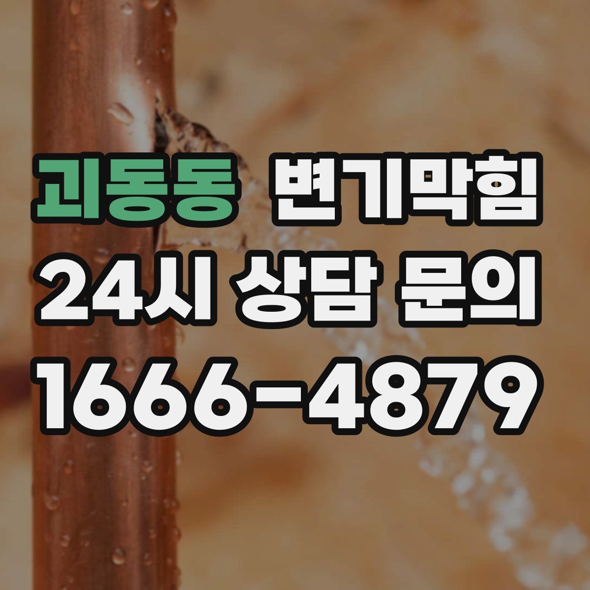 괴동동 변기막힘