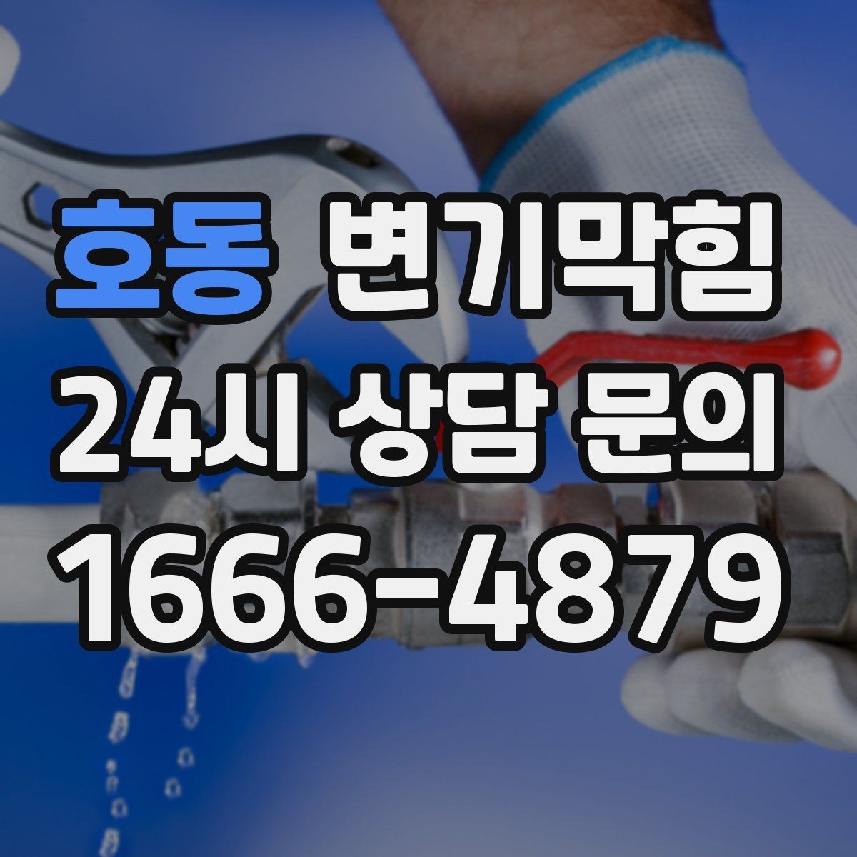 호동 변기막힘 다가구 배수구막힘 공용 트랩 재점검