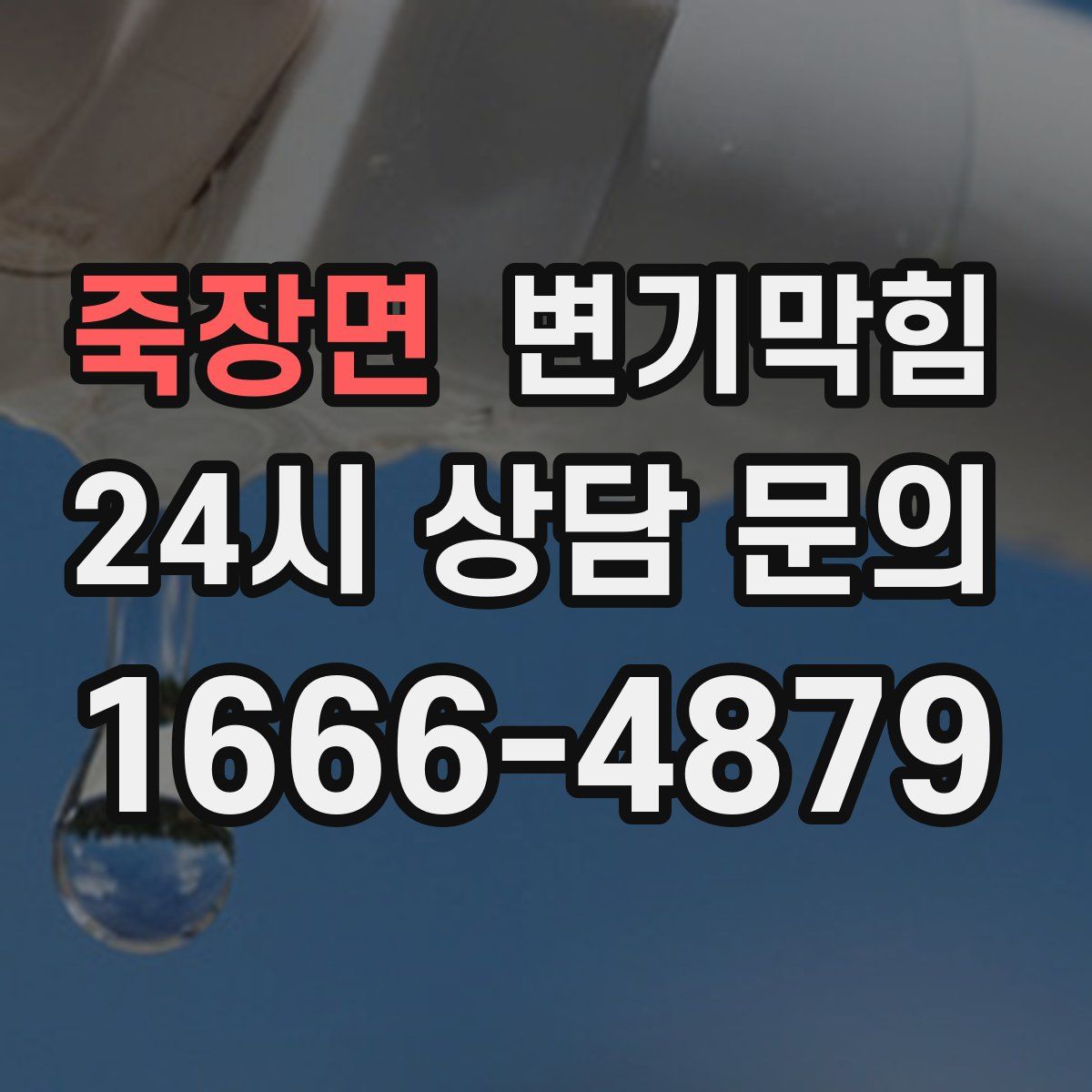 죽장면 변기막힘