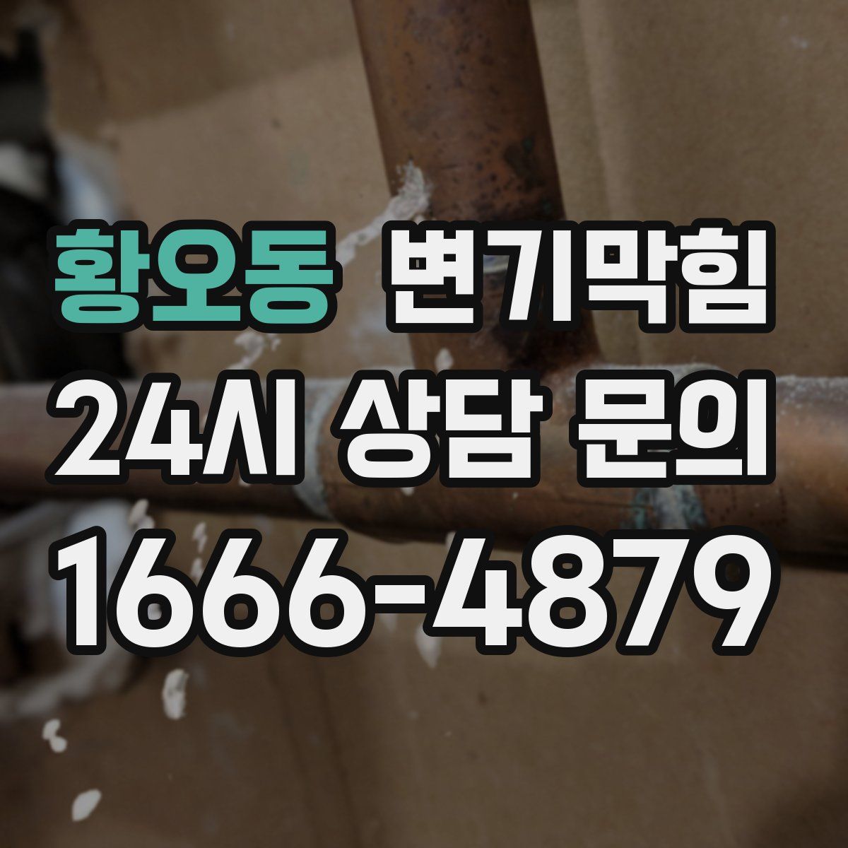 황오동 변기막힘