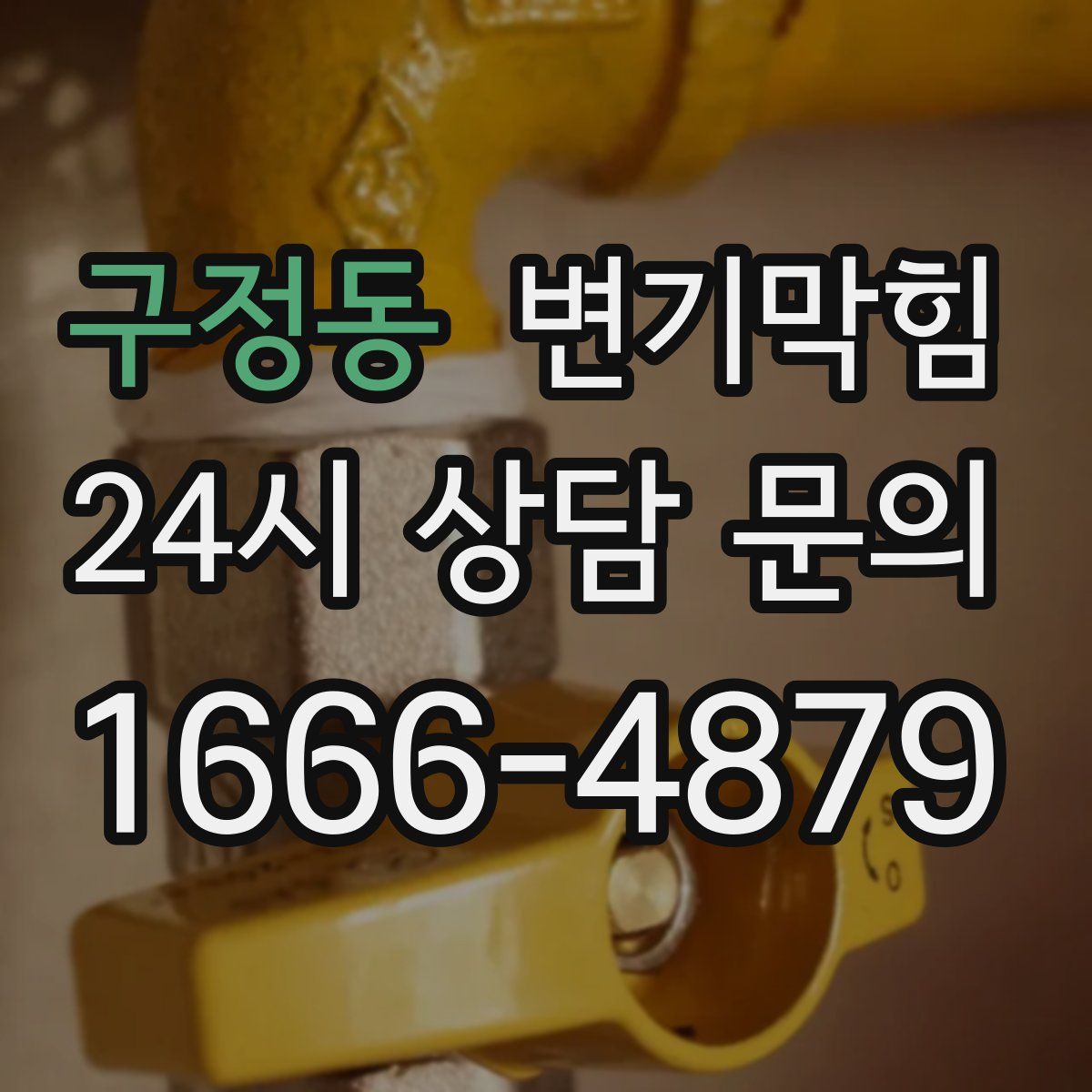 구정동 변기막힘