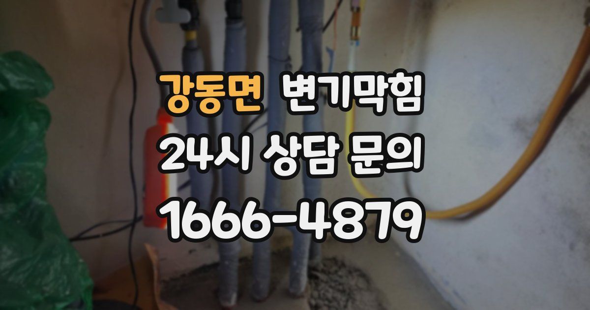 강동면 변기