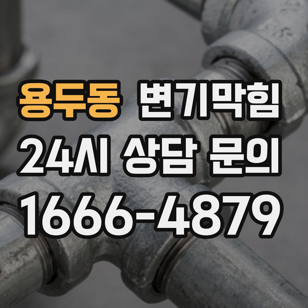 용두동 변기막힘