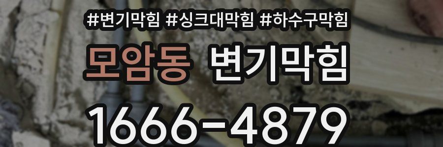 변기막힘