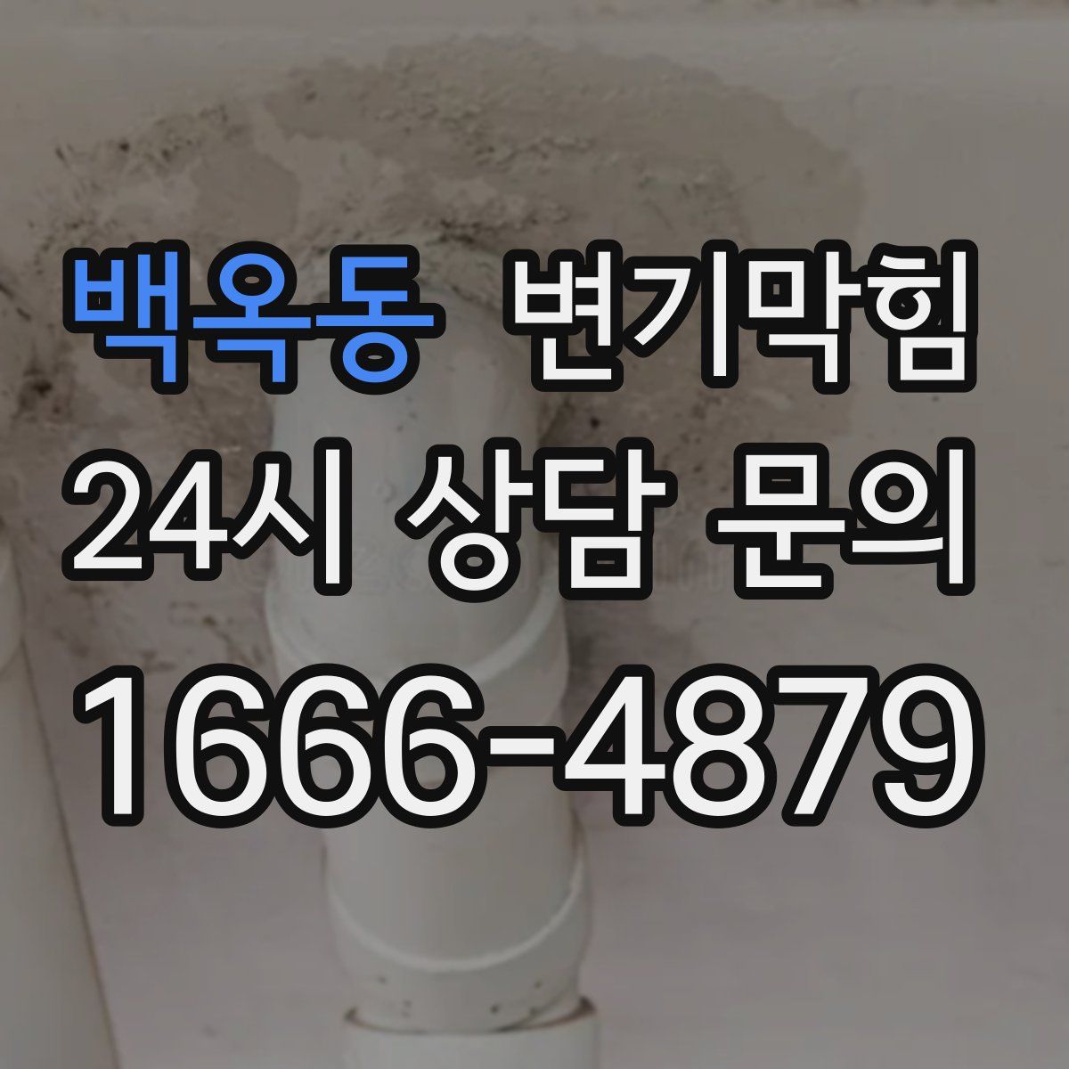 백옥동 변기막힘