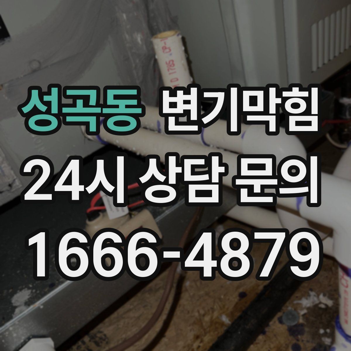 성곡동 변기막힘 미용실 화장실역류 드레인 캡 재설치