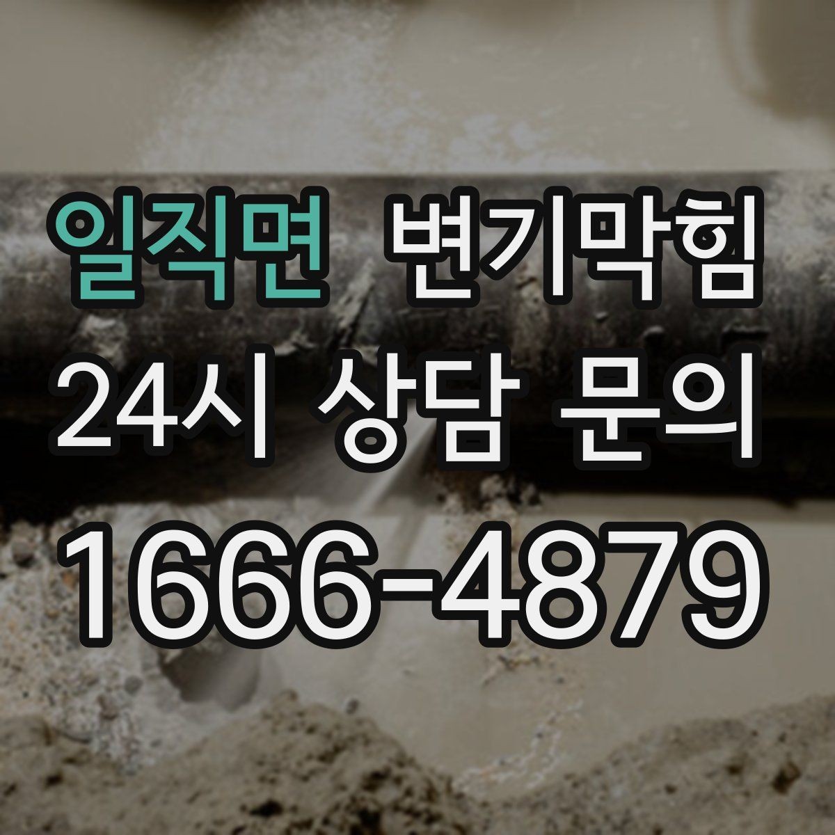 일직면 변기막힘 우천 시 냄새·거품 동시 차단