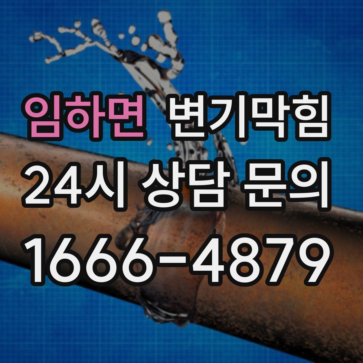 임하면 변기막힘 단독 변기뚫기 왁스링 누기 차단