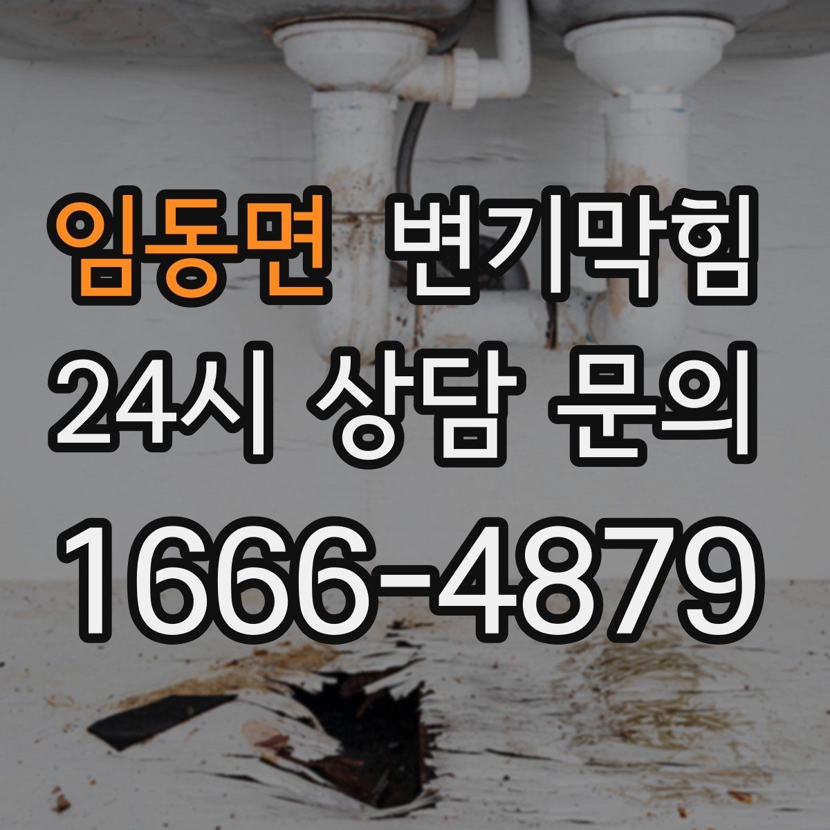 임동면 변기막힘 변기막혔을때 냄새·거품 동시 발생