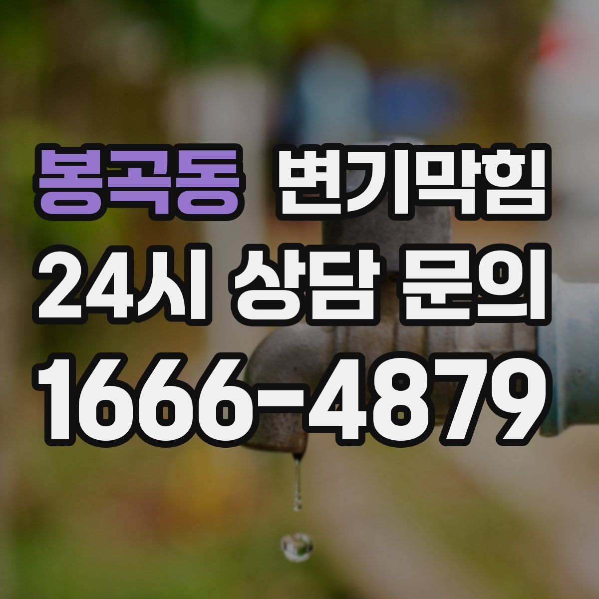 봉곡동 변기막힘