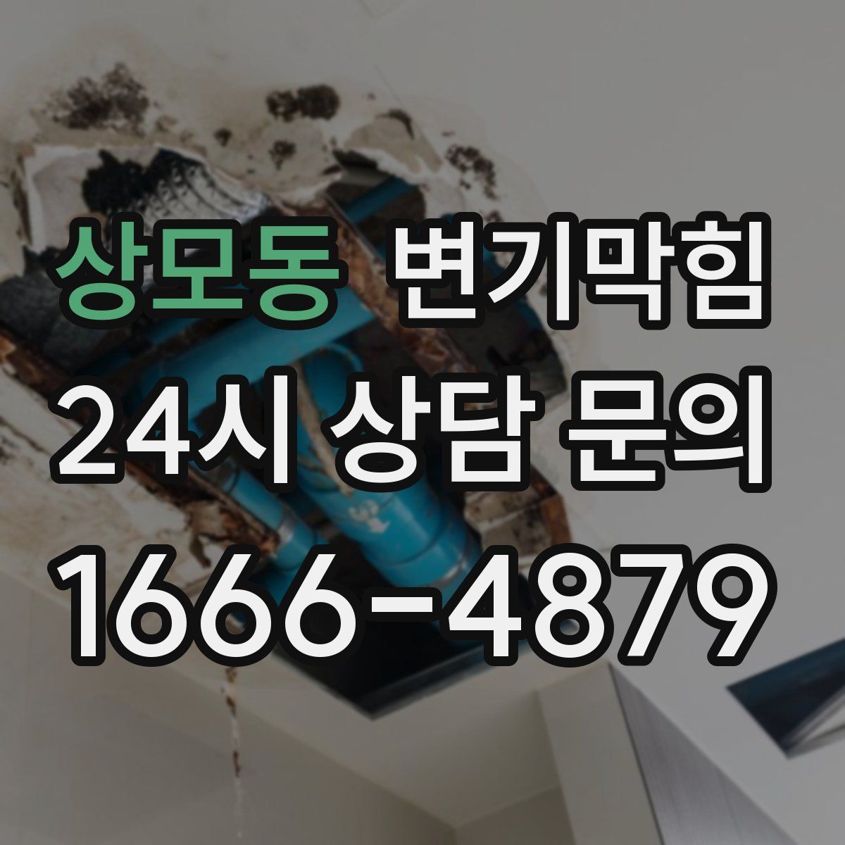 상모동 변기막힘