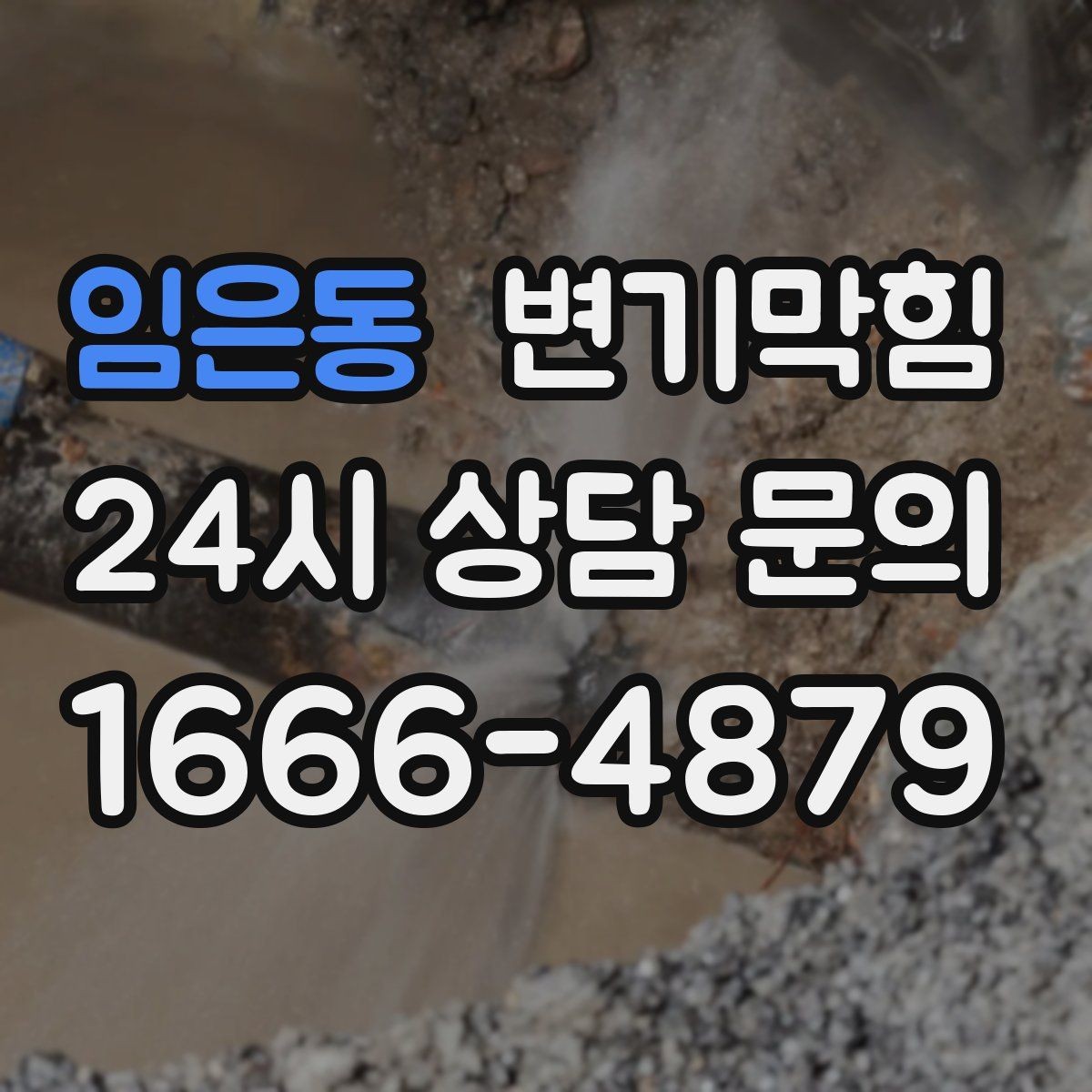 임은동 변기막힘 뚫어뻥 고무컵 크기 선택 기준