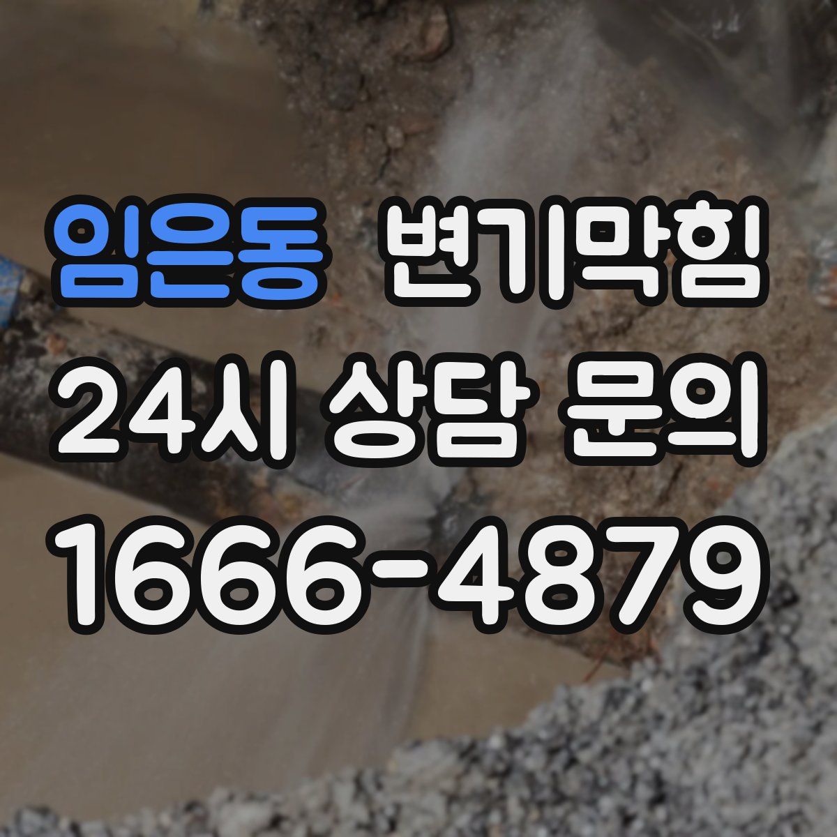 임은동 변기막힘