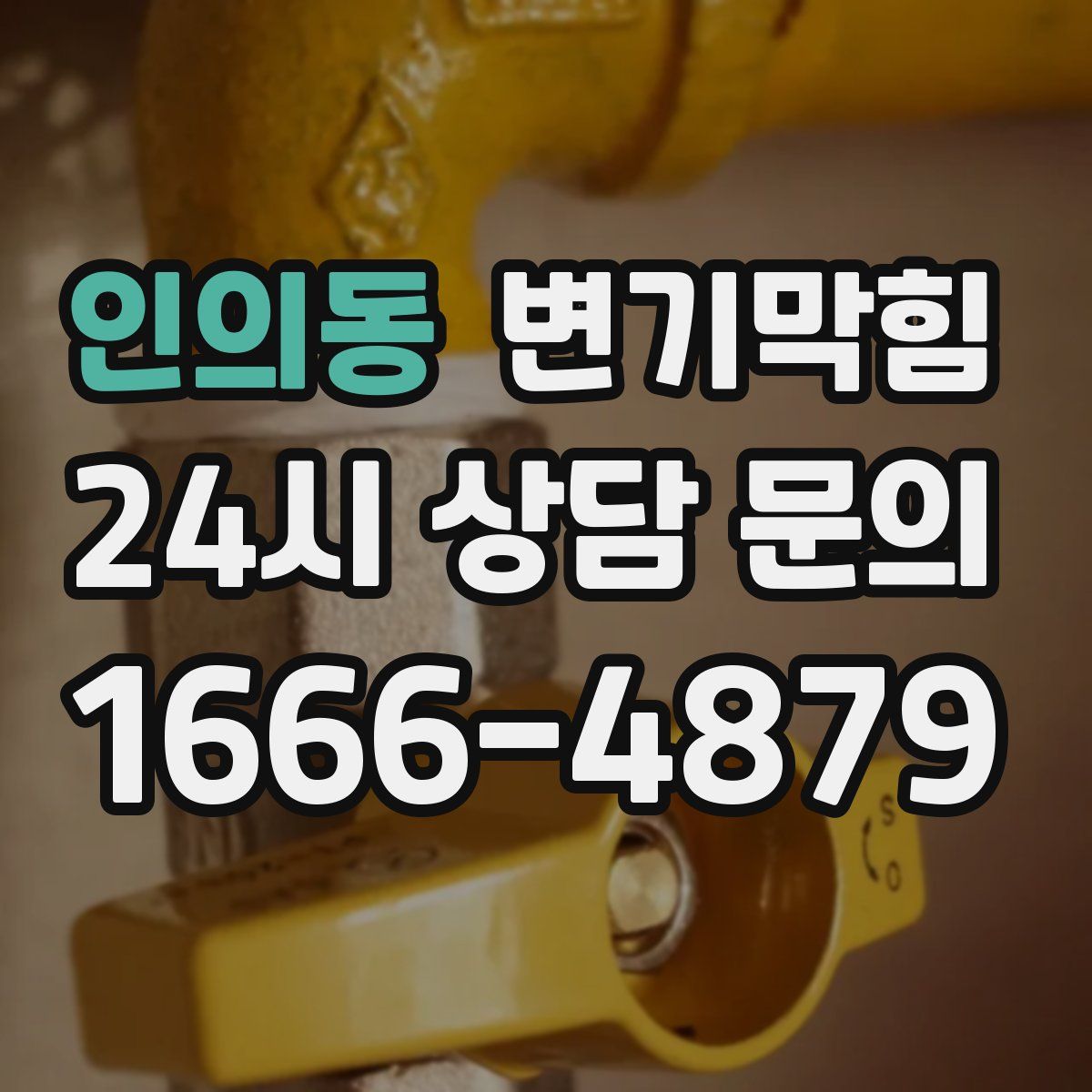 인의동 변기막힘