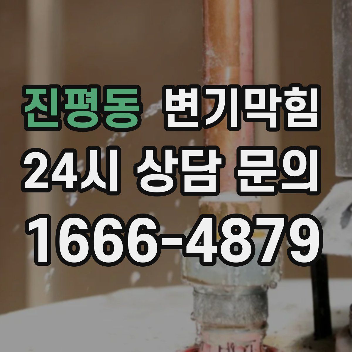 진평동 변기막힘