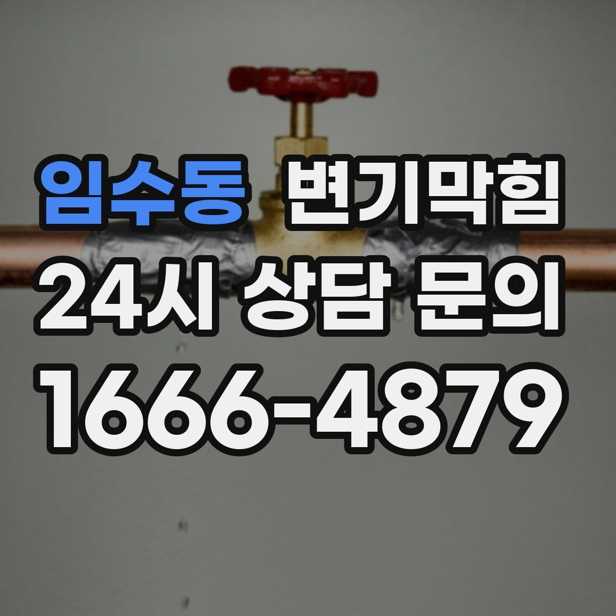 임수동 변기막힘 카페 화장실역류 오픈 전 점검 루틴