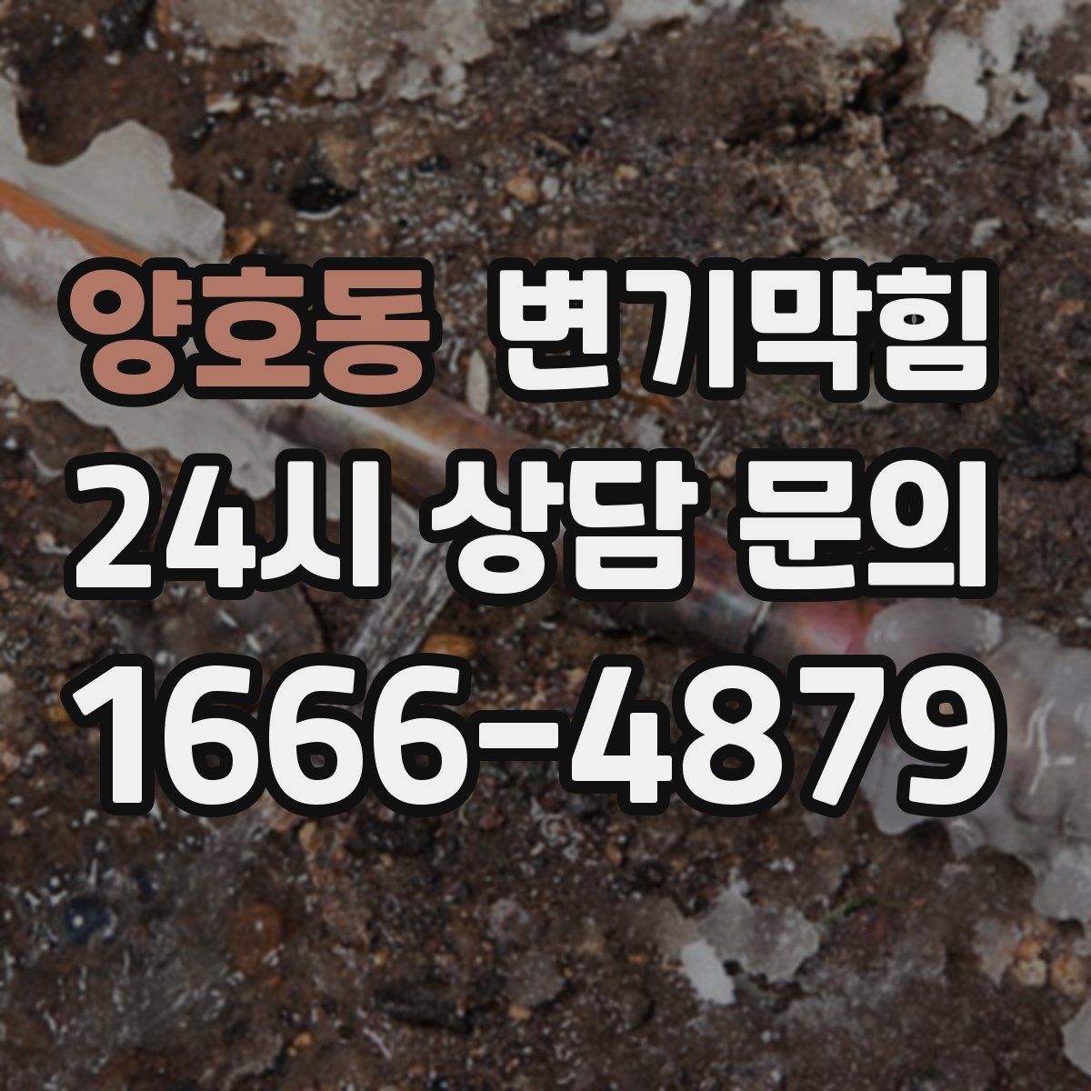 양호동 변기막힘