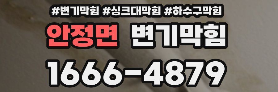 변기막힘