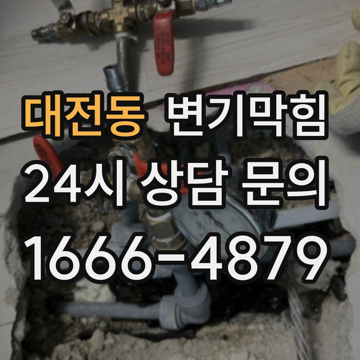 대전동 변기막힘