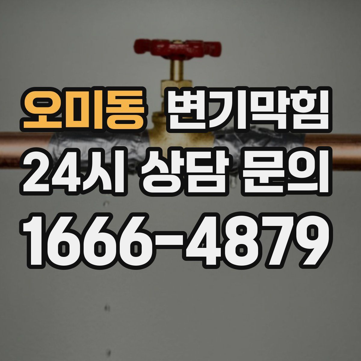 오미동 변기막힘