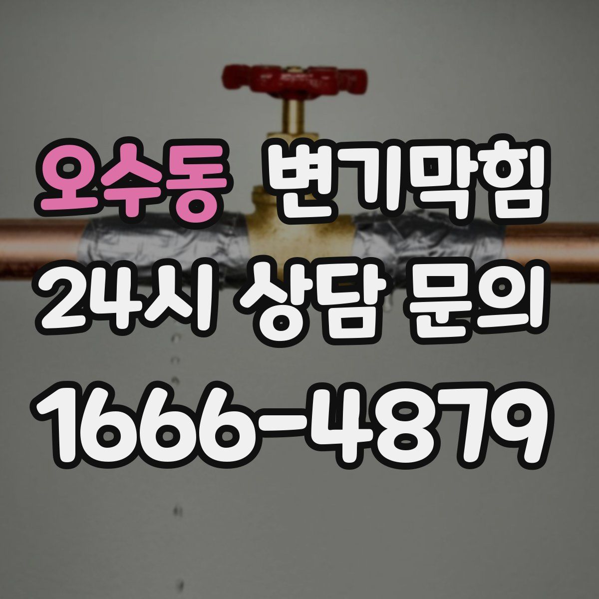 오수동 변기막힘