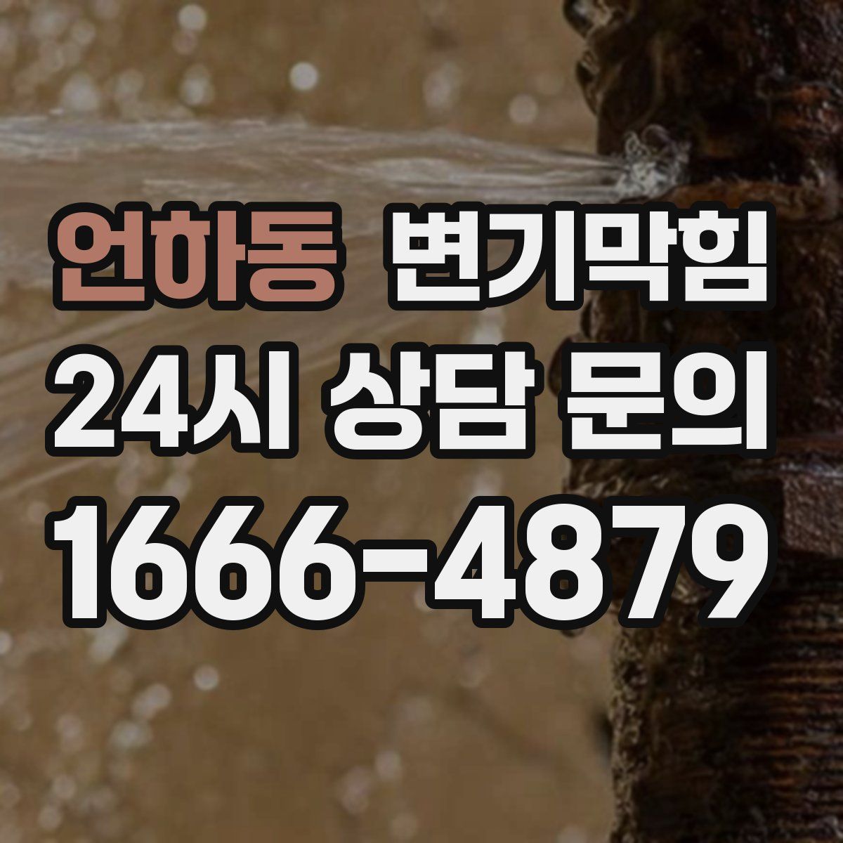 언하동 변기막힘