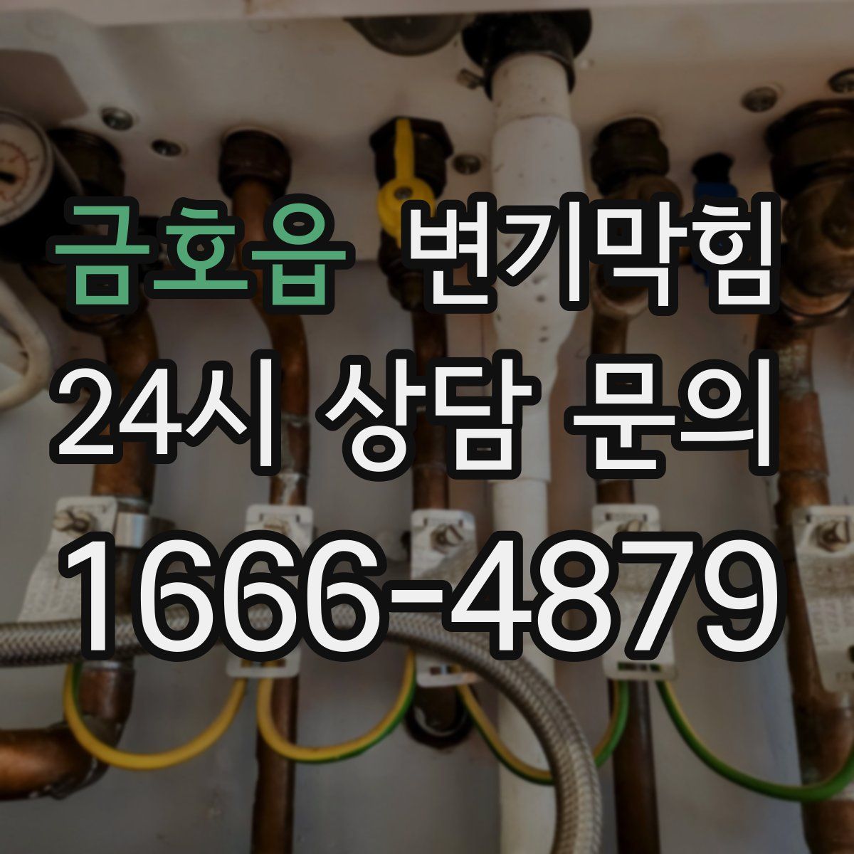 금호읍 변기막힘