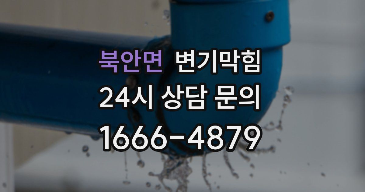 북안면 변기