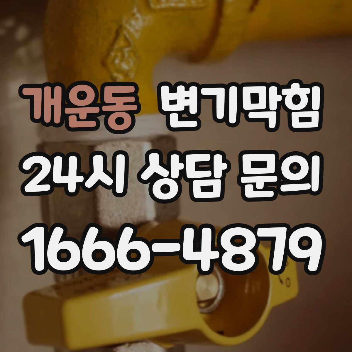 개운동 변기막힘