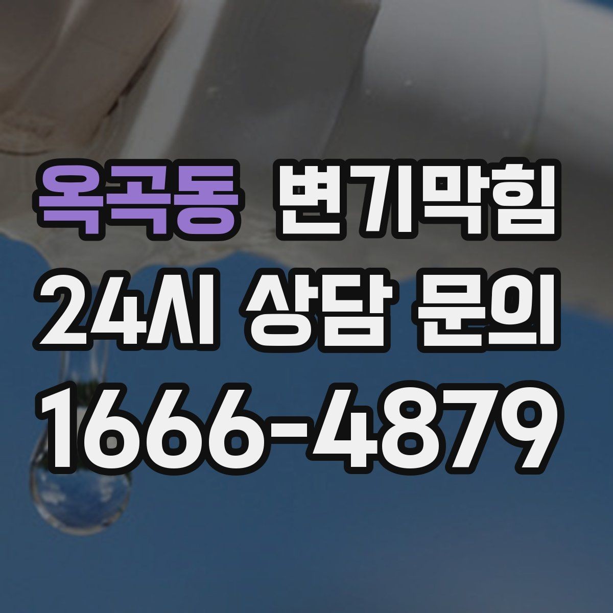 옥곡동 변기막힘 사무실 배수구막힘 회의 직전 15분 해결