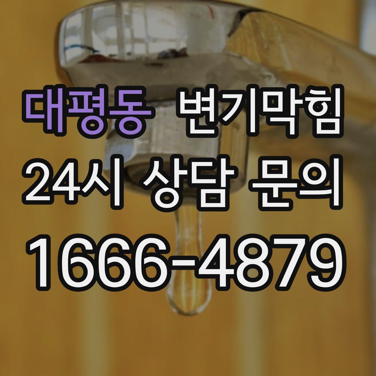 대평동 변기막힘