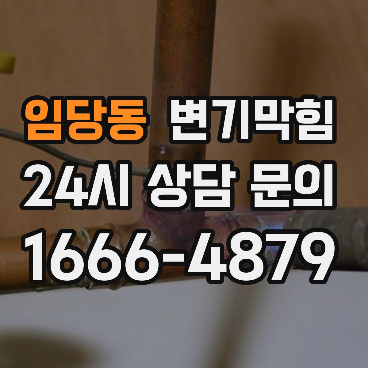 임당동 변기막힘