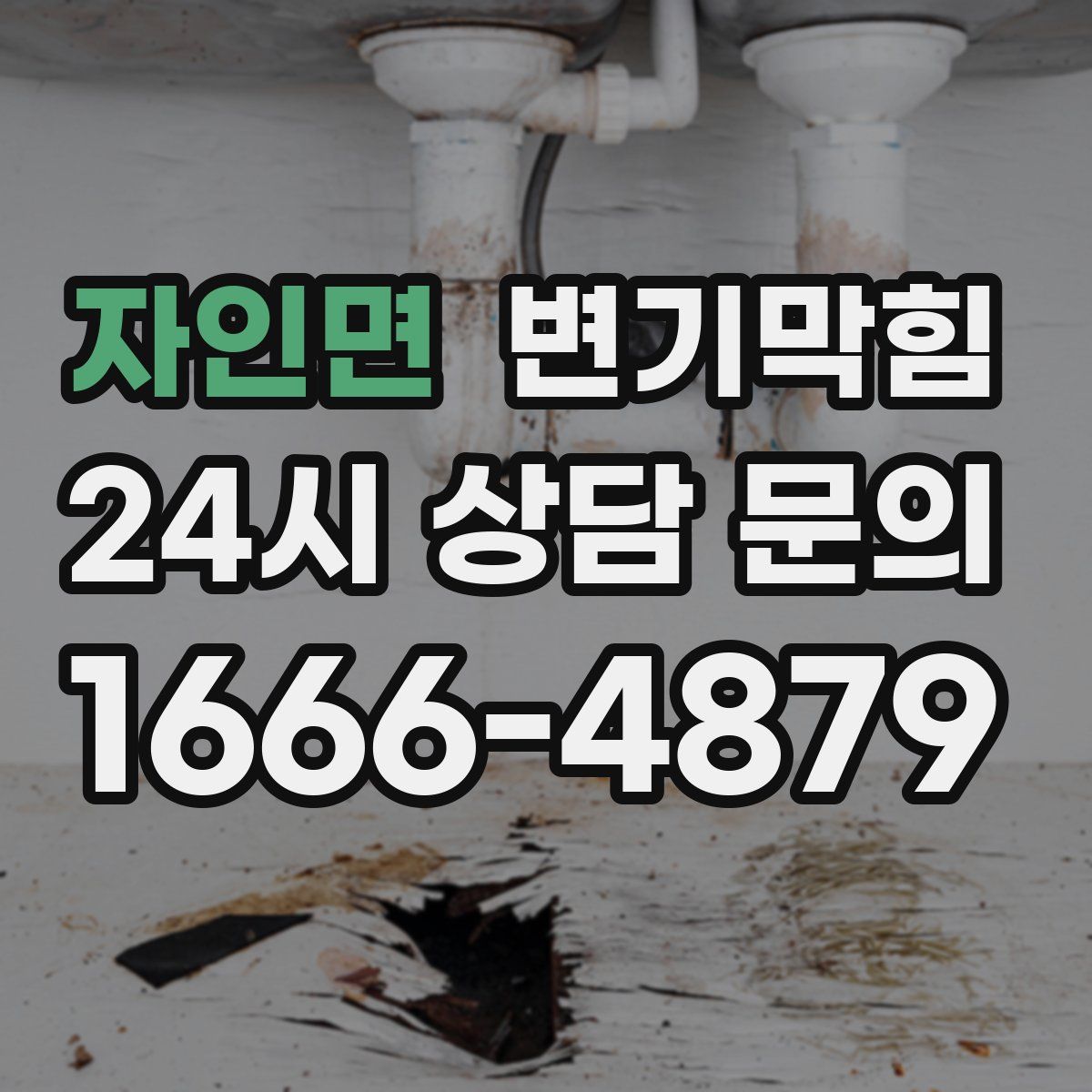 자인면 변기막힘