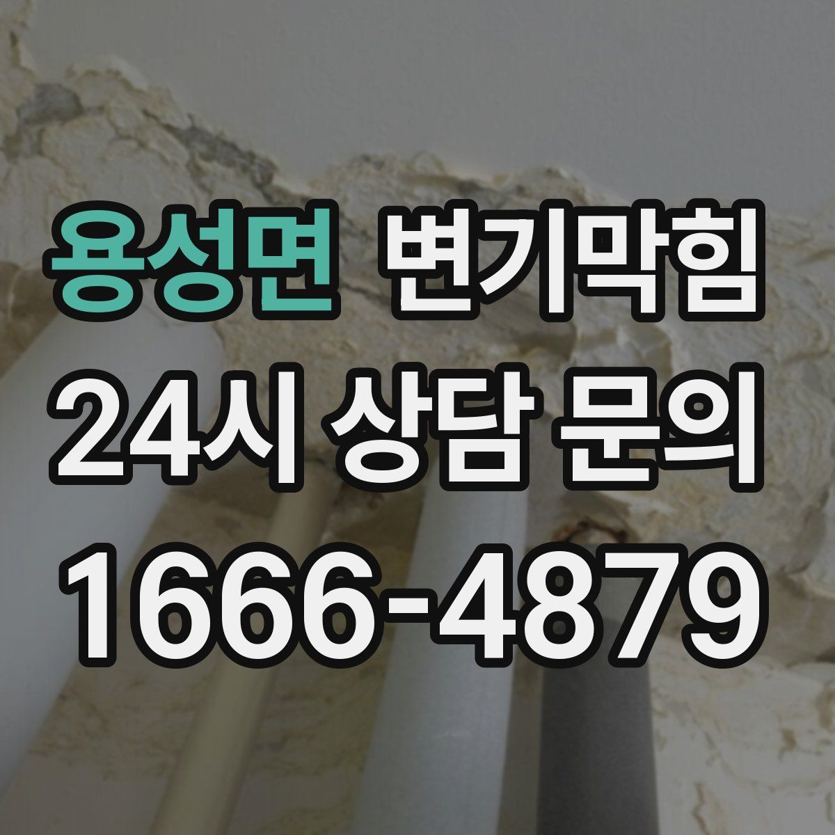 용성면 변기막힘