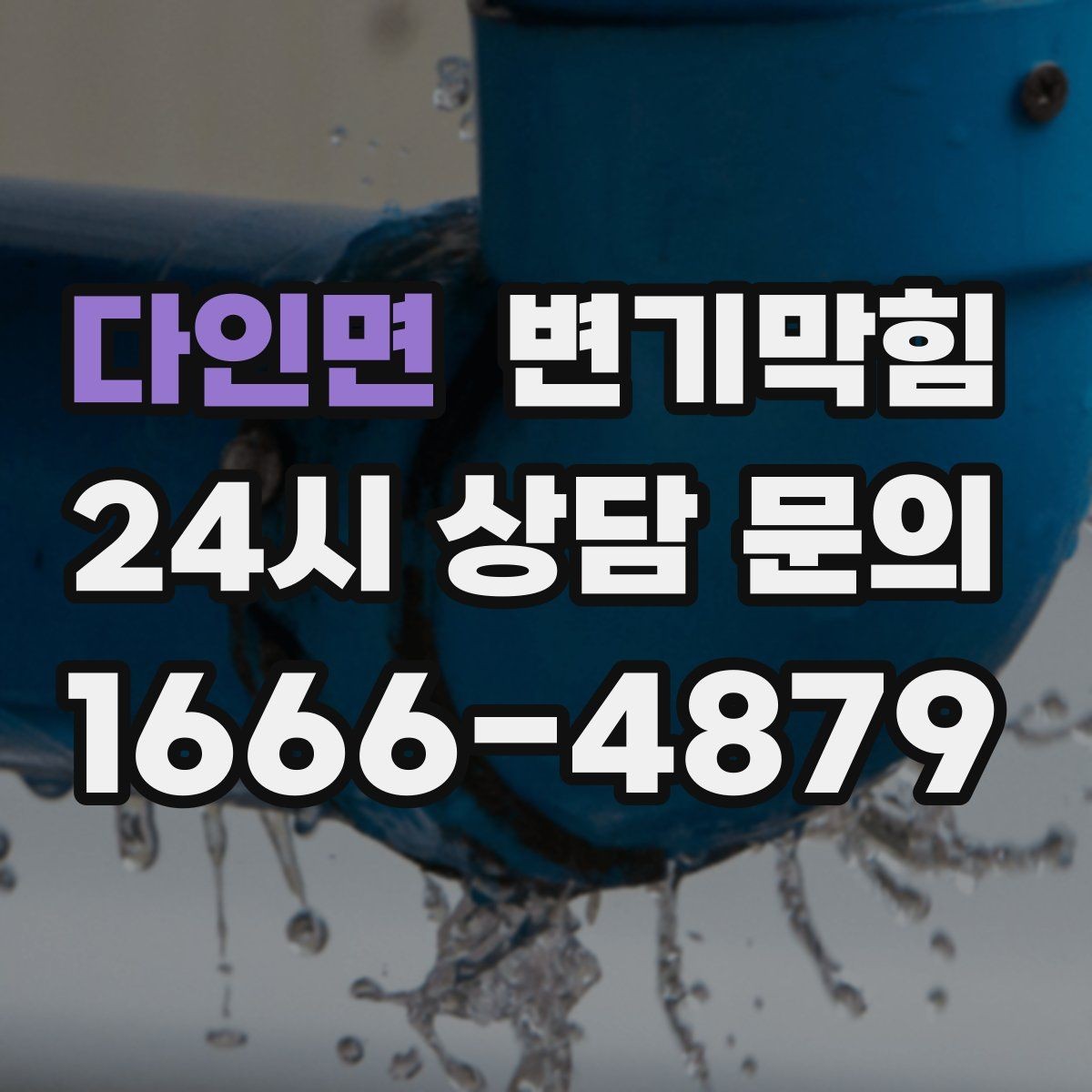 다인면 변기막힘 카페 화장실막힘 오픈 전 30분 해결