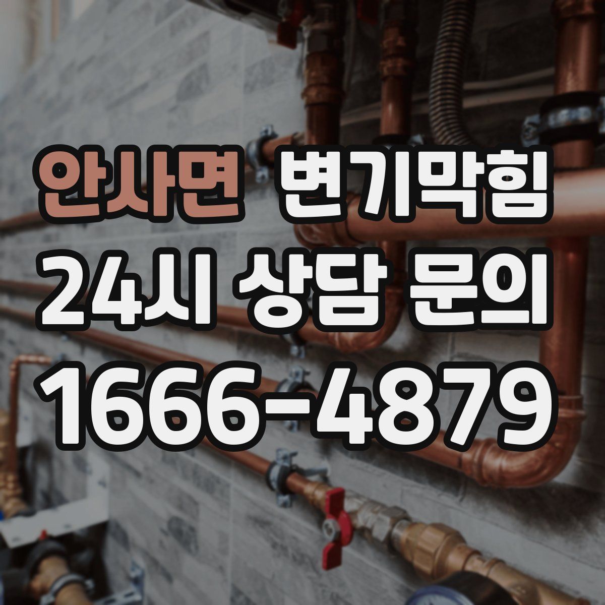 안사면 변기막힘