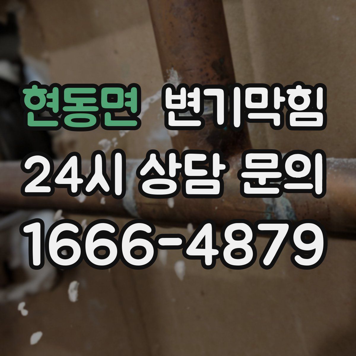 현동면 변기막힘