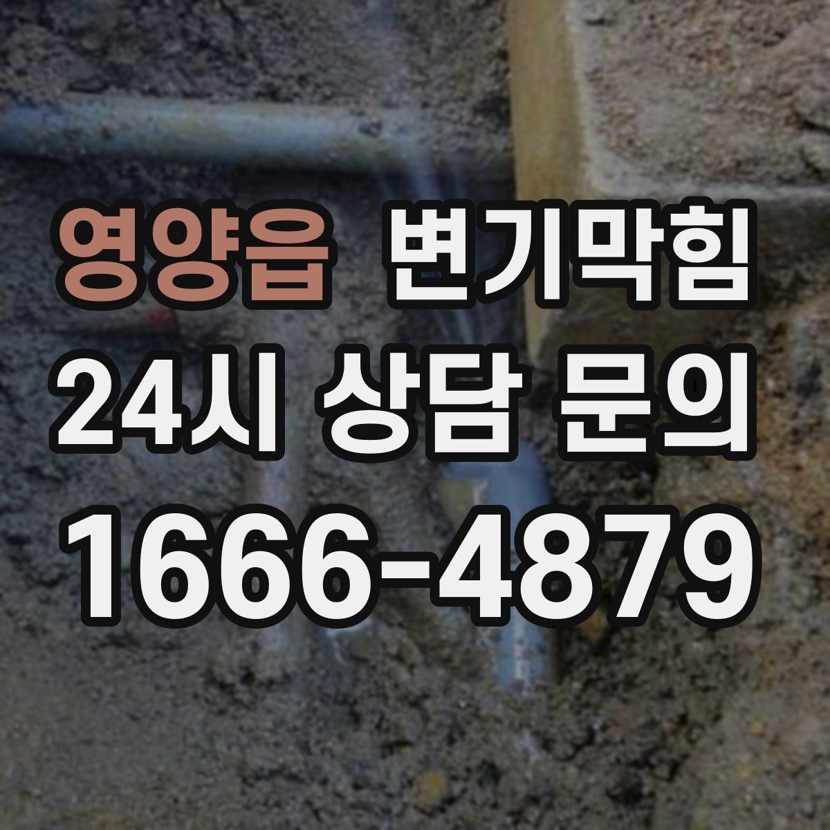 영양읍 변기막힘 원룸 화장실역류 내시경 병목 확인