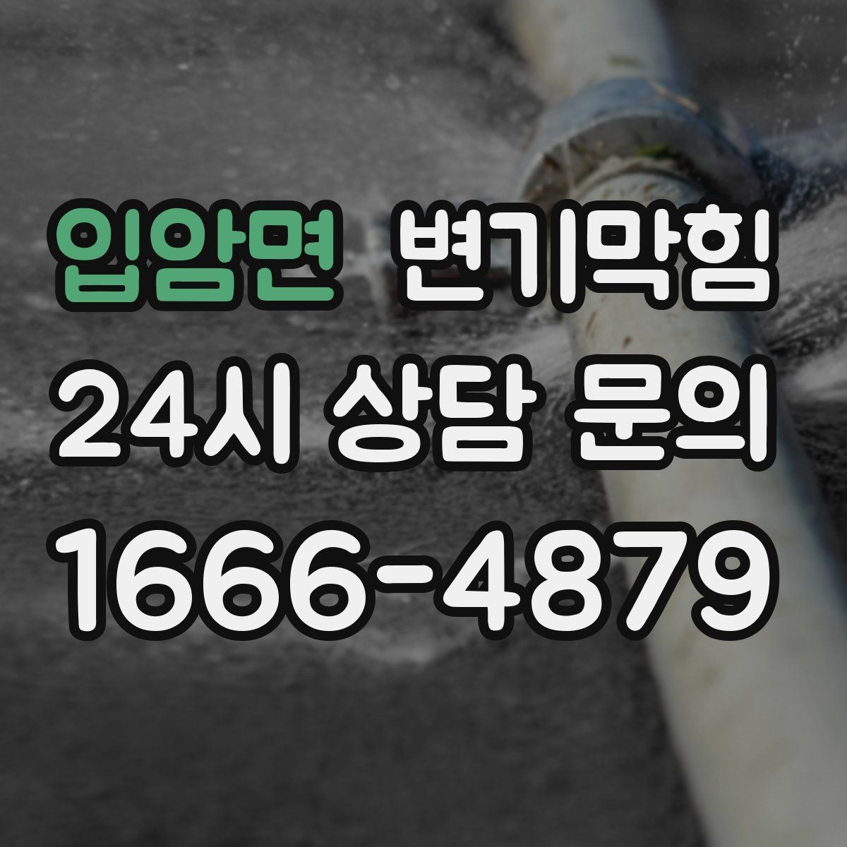 입암면 변기막힘