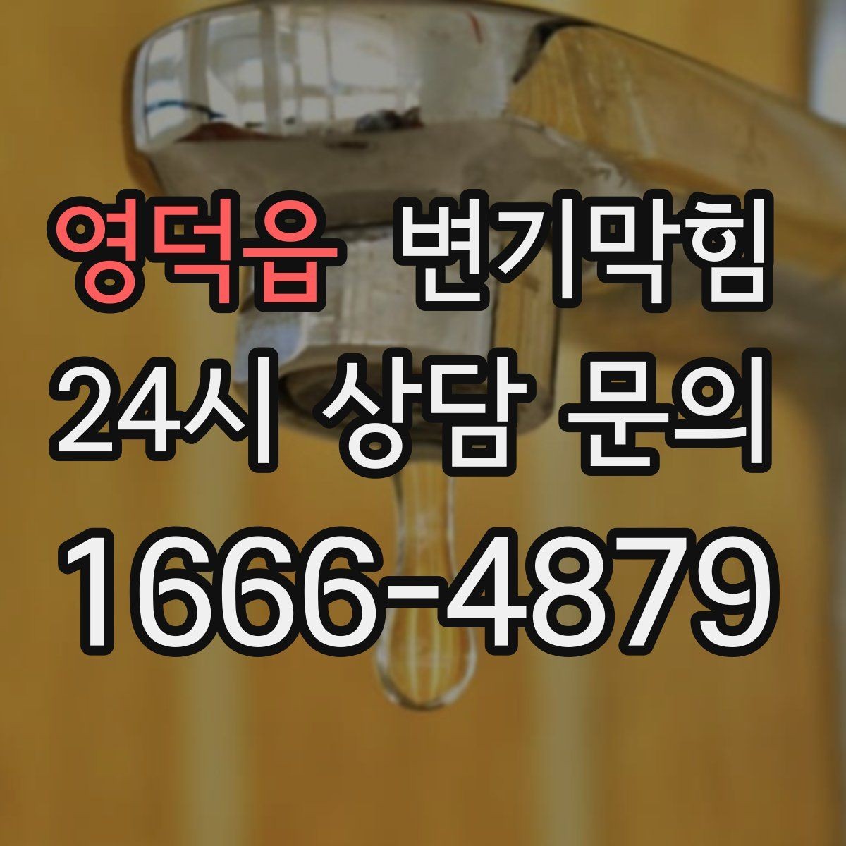 영덕읍 변기막힘 사무실 변기뚫기 장비 진입 최소 동선