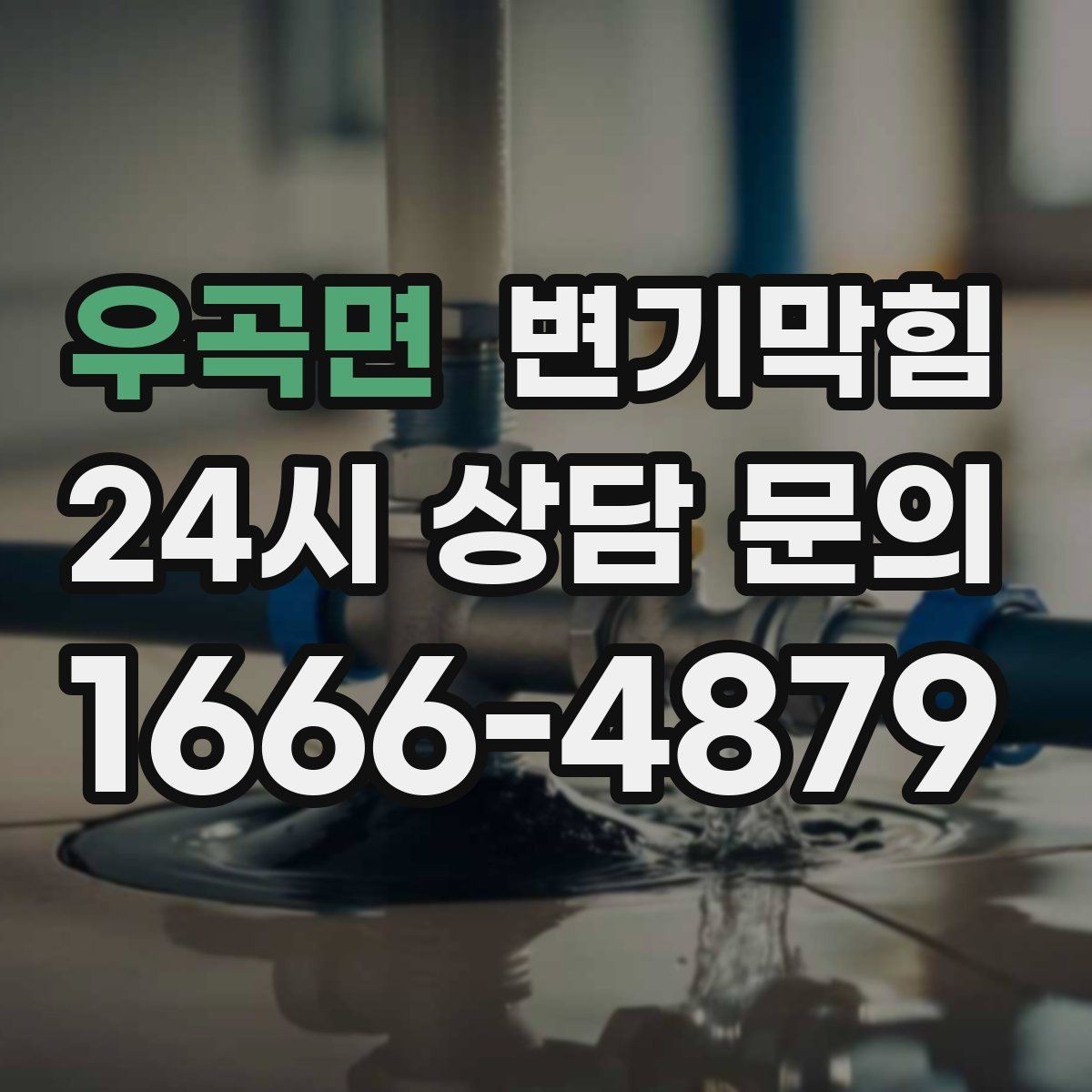 우곡면 변기막힘 식당 배수구막힘 점심 준비 지킨 처리